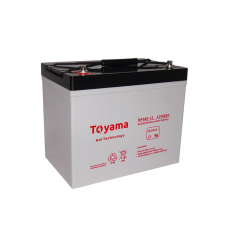 Акумуляторна батарея Toyama NPG60 12V